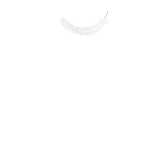 New Post Wings Sticker by Walls of Stories