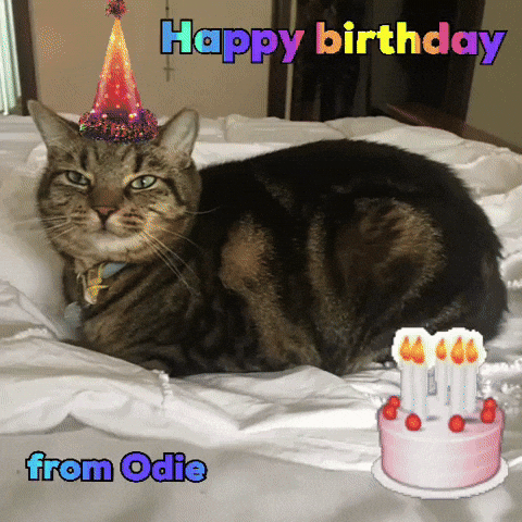 Happy Birthday Cat GIF
