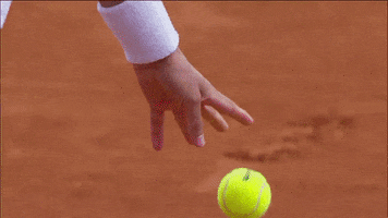 Tennis Court Sport GIF by Roland-Garros