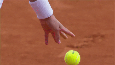 Tennis Court Sport GIF by Roland-Garros