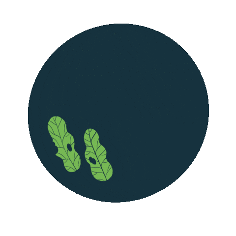 Tebe Hulladékmentes Bolt Sticker