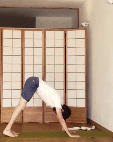 Handstand Yoga Pose GIF by YOGABODY