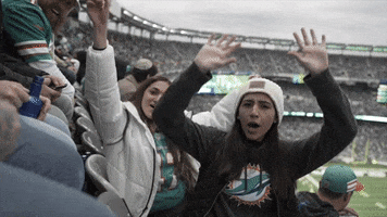 Lets Go Football GIF by Dolfans NYC