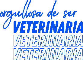 Argentina Campo Sticker by infopork