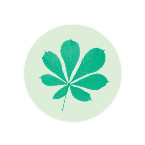 Elisabethstift Sticker