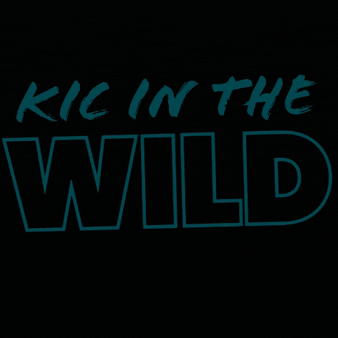 Kicrealestate GIF by KIC Realty