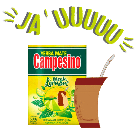 Campe Momentocampe Campesino Yerbamatecampesino Terere Mate Corazonycostumbre Sticker by AJ Vierci