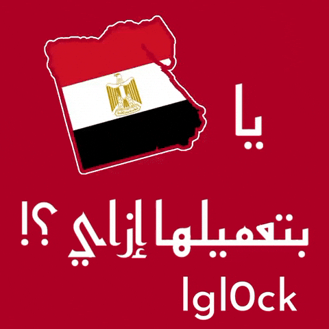 Egypt Algeria GIF