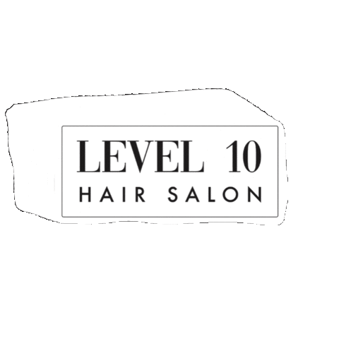 Logo Salon Sticker by Level10hairsalon