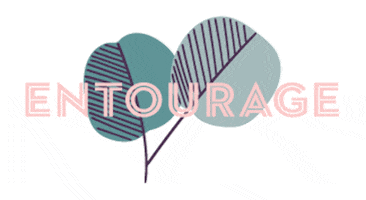 entourage_au GIF