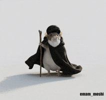 عرزشی GIF