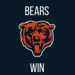Chicago Bears Football GIF
