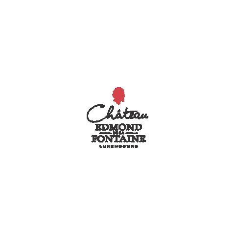 Domaines Vinsmoselle Sticker