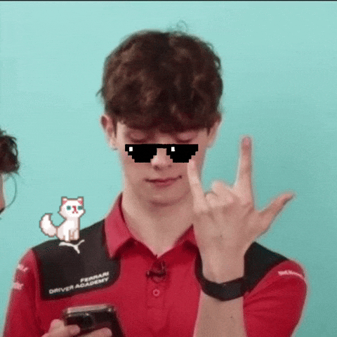 Haas F1 GIF