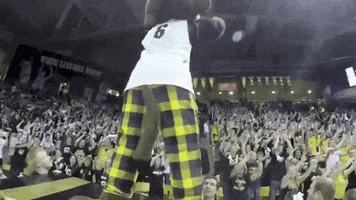 basketball college GIF by CUBoulder
