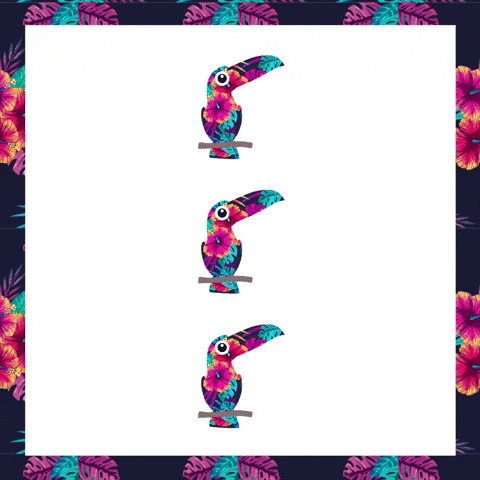 warao GIF