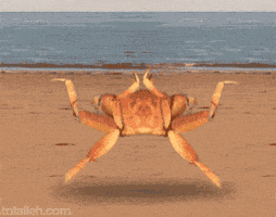 running crab crabs happy crab GIF