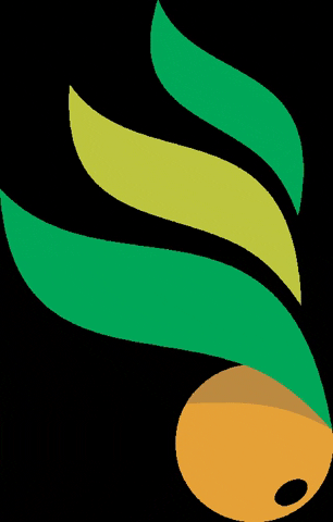 Ke Soja Comércio de Insumos e Máquinas Agrícolas LTDA GIF