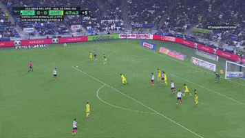 Ligamx GIF