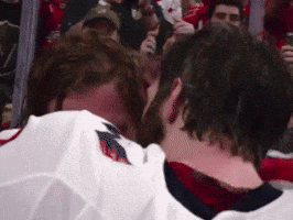 Stanley Cup Hockey GIF