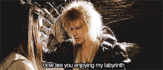Goblin King Labyrinth GIF - Find & Share on GIPHY