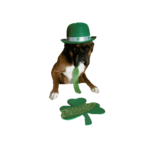 Dog Sticker