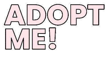 Bunnys Buddies Sticker by Organic Bunny