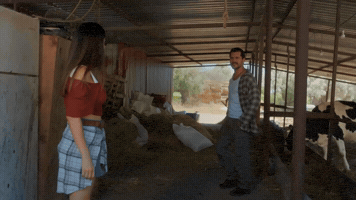 Startv GIF by Ay Yapım