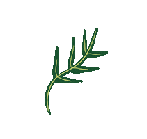 Flower Sticker