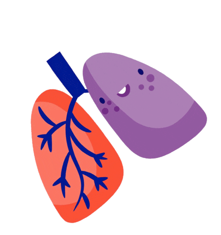 Scout Sticker