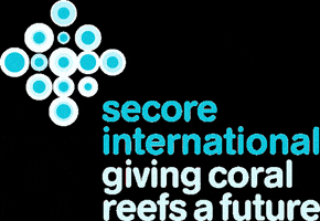 secoreinternational logo donate coral ngo GIF