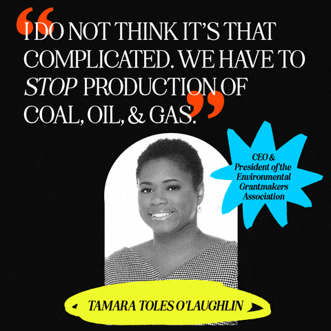 "I do not think it's that complicated. We have to stop the production of coal, oil, and gas" - Tamara Toles O'Laughlin quote