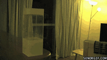 200.gif