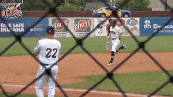 EvansvilleOtters happy excited baseball nice GIF