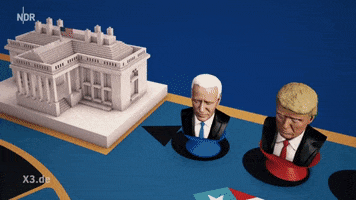 Election 2020 Trump GIF by extra3
