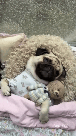 Sleepy Do Not Disturb GIF