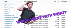 Dvc GIF