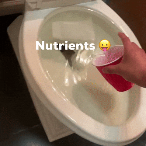 Nutrients GIF