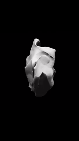 Face GIF