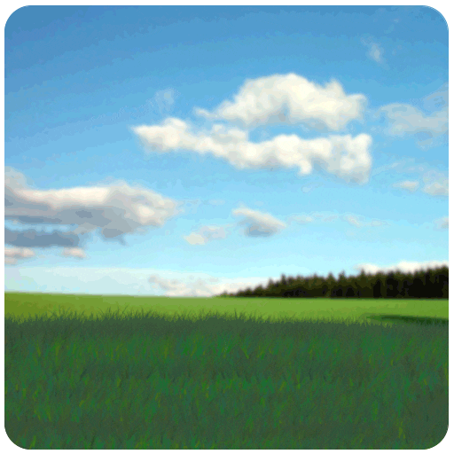Garden Grass GIF by ccmdobrasil Find & Share on GIPHY