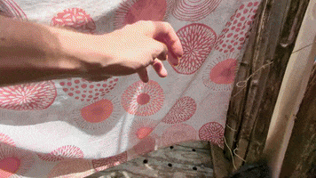 Wc GIF