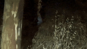 Grave GIF by Zolita