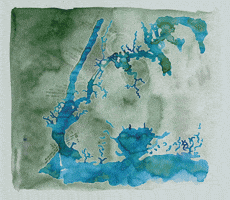 Nyc Map GIF