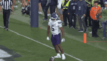 GIF by Northwestern Athletics
