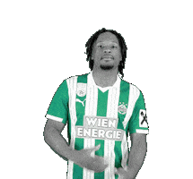 Fk Austria Bundesliga Sticker by SK Rapid