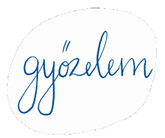 Barcahu Sticker by Barca Academy Hungary