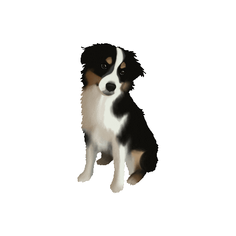 Dog Sticker