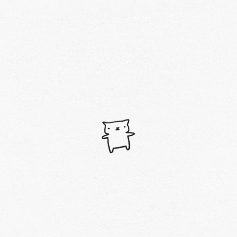 Cat GIF