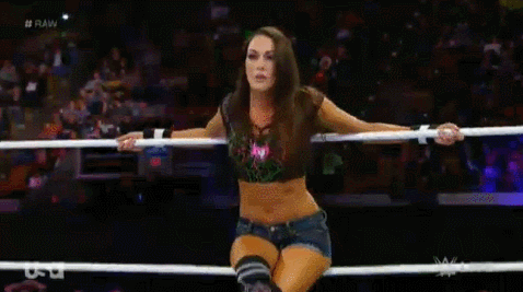 brie bella