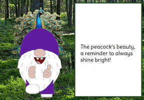 Gnome Peacock GIF